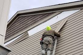 Best Historical Building Siding Restoration  in Valley Falls, KS